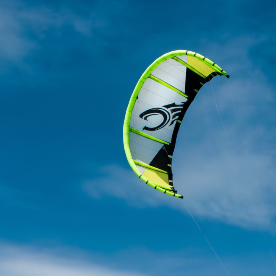 CANOPY 281