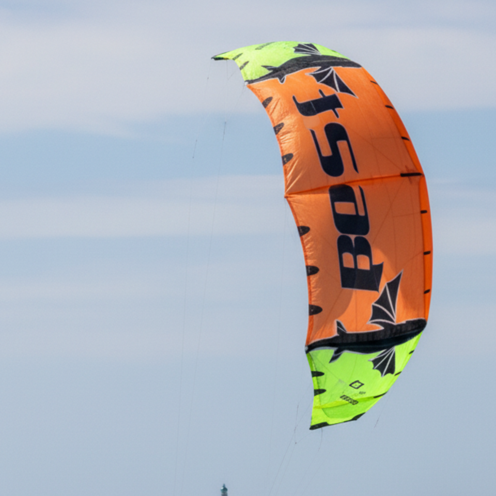 CANOPY 273
